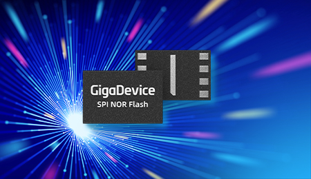 SPINORFlash450x260.jpg